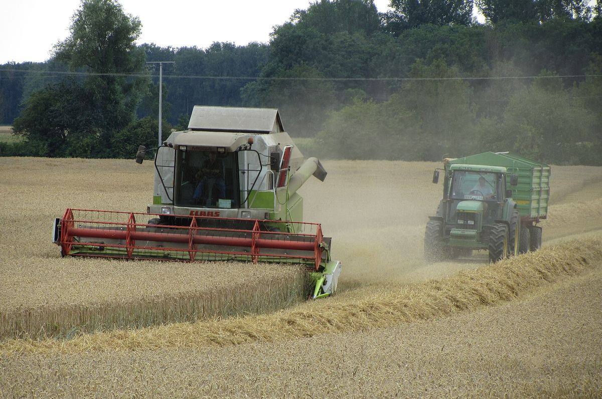Mähdrescher und Traktor mit Anhänger bei der Getreideernte