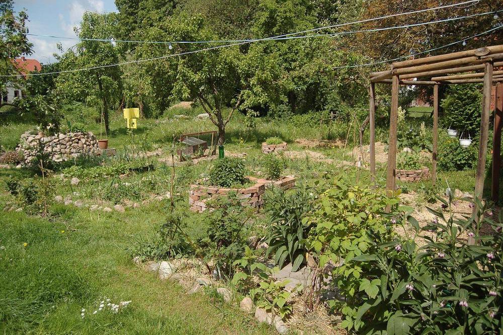 Permakulturgarten mit Hochbeeten, Mischkultur und Obstgehölzen