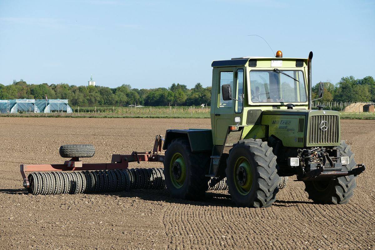 Traktor mit angehängter Cambridge-Walze auf einem Feld
